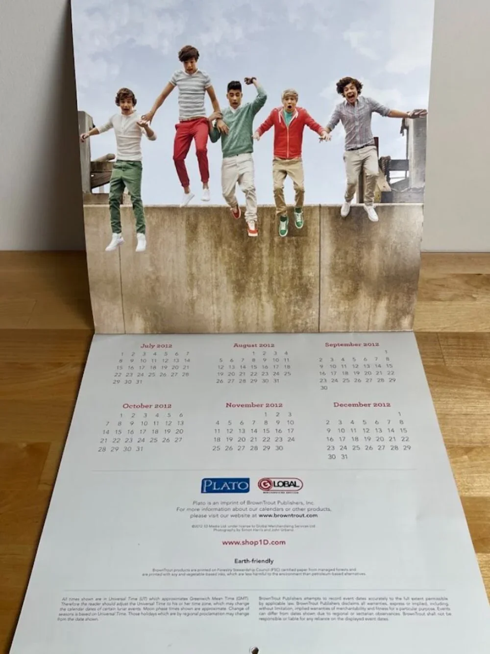 1D one direction